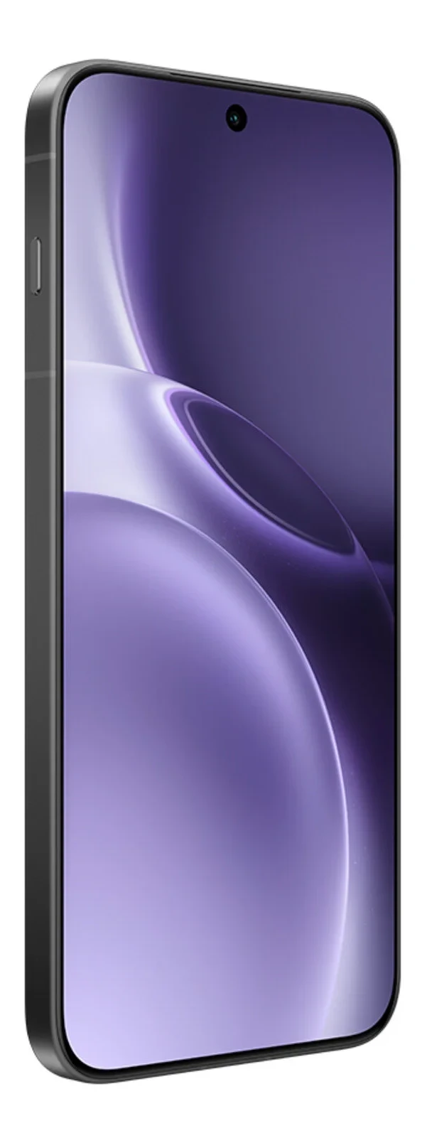 vivo X300 Pro Ram