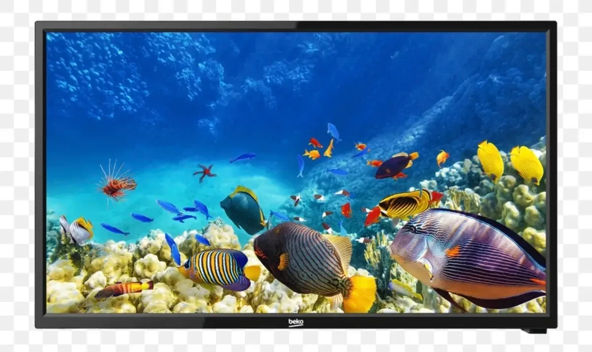 Beko B32 586 B HOTEL TV Hotel TV CG7T00
