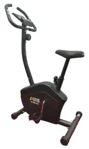 Altıs Runrace Eliptik Kondisyon Bisikleti