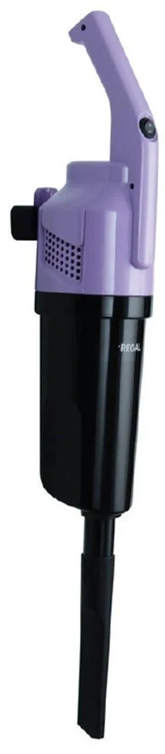 Regal RK1000 Kablolu Dikey Süpürge