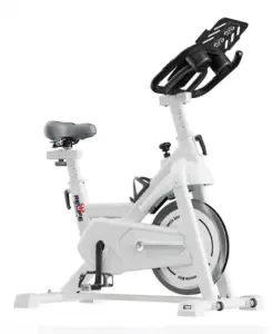 Relife Kr-602 Spin Bike Dikey Kondisyon Bisikleti